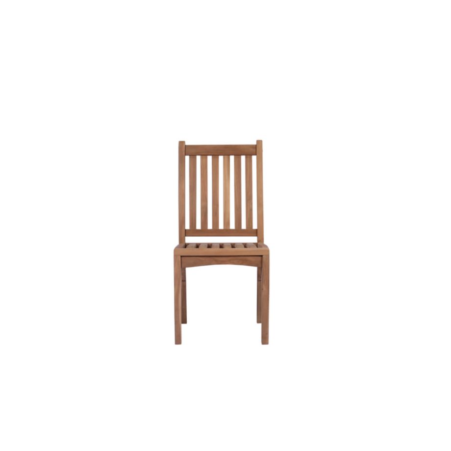 Danao Dining Chair Natural Font View