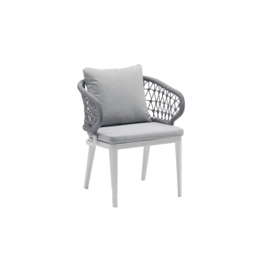 Isabela Dining Chair Light Gray Main Image