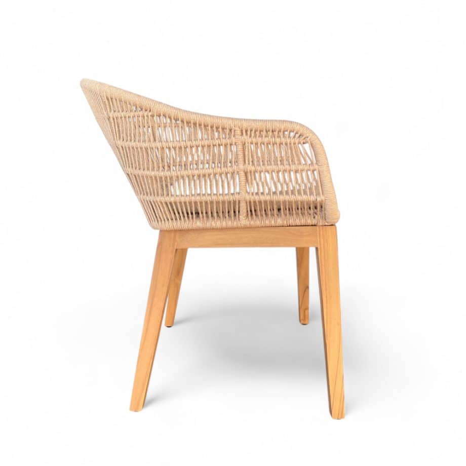 Nature Armchair Side View