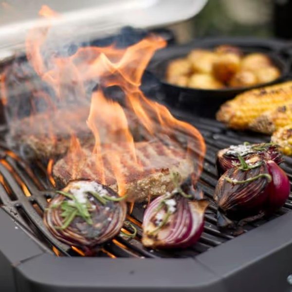 Combo Plancha Grill - G 800 - Image 2 Combo Plancha Grill - G 800