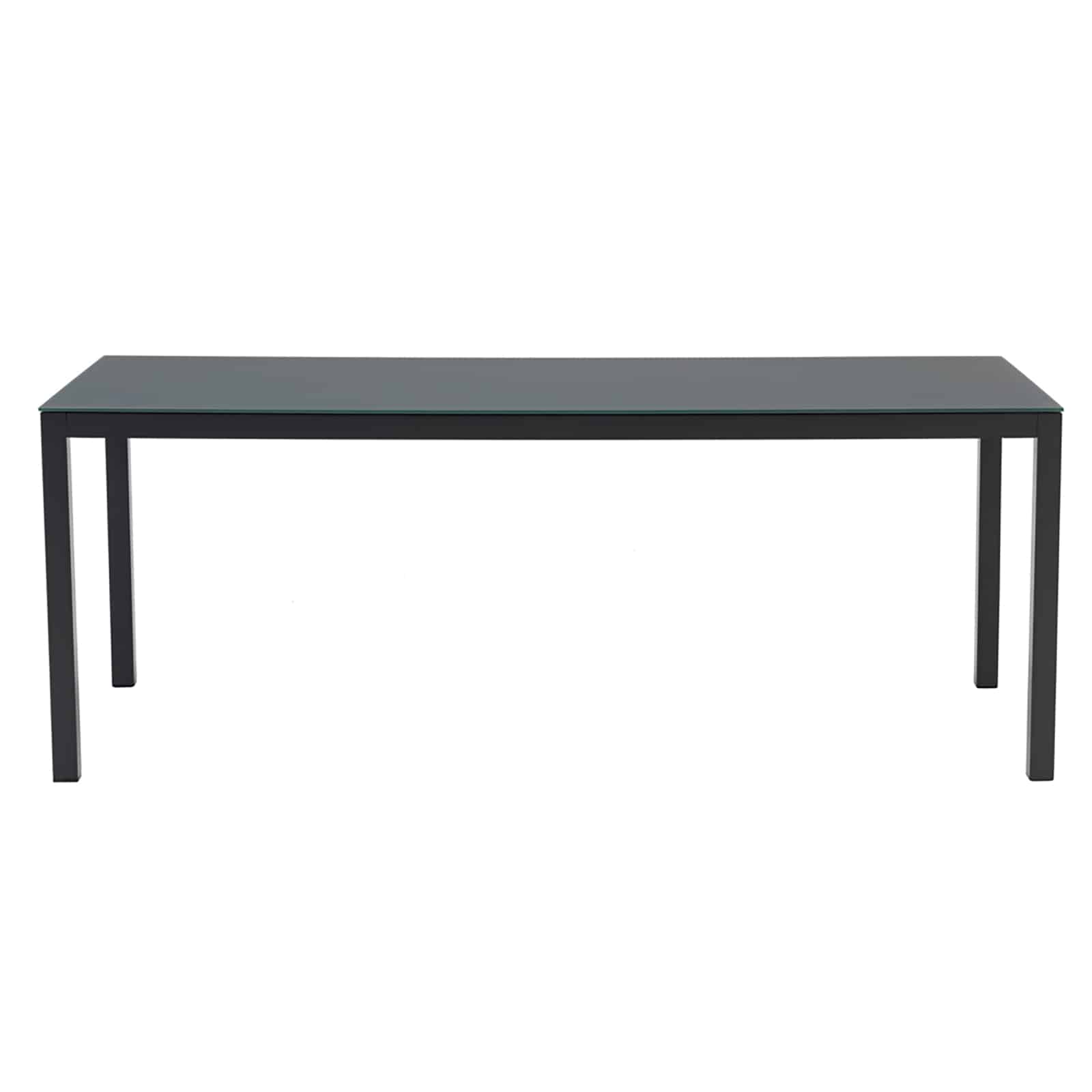Adin Dining Table front view